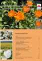 Nachrichtenblatt 01/2025